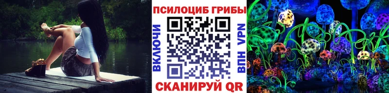 Псилоцибиновые грибы GOLDEN TEACHER наркошоп darknet как зайти Новохопёрск